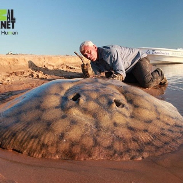 Photo:  Jermey Wade River Monsters